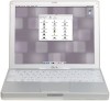 Reviews and ratings for Apple M8599LL - iBook Laptop