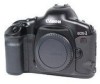 Canon EOS 1V New Review