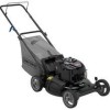 Get Craftsman 37114 - Rear Bag Push Lawn Mower reviews and ratings