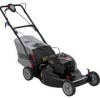 Get Craftsman 37436 - Rear Propelled Bag Lawn Mower reviews and ratings