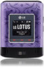LG LX600 Purple New Review