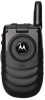Motorola i530 New Review