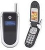 Get Motorola V180 - Cell Phone 1.8 MB reviews and ratings