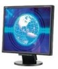 Get NEC LCD175VXM-BK - MultiSync - 17inch LCD Monitor reviews and ratings
