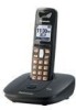 Get Panasonic KX-TG6411T - Cordless Phone - Metallic reviews and ratings