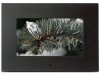 Get Polaroid IDF-750 - Poloroid Digital Photo Frame reviews and ratings