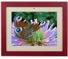 Reviews and ratings for Polaroid M635 - 10.4-in IDF-1030 Digital Picture Frame