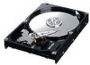 Get Samsung HD161HJ - SpinPoint S166 160 GB Hard Drive reviews and ratings