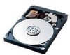 Get Samsung SP0411N - SpinPoint PL40 40 GB Hard Drive reviews and ratings