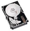 Get Seagate ST318404LC - Cheetah 18.4 GB Hard Drive reviews and ratings