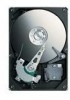 Get Seagate ST90250N1A1AS-RK - Momentus 250 GB Hard Drive reviews and ratings