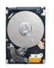 Get Seagate ST9160314AS - Momentus 5400.6 160 GB Hard Drive reviews and ratings