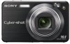 Get Sony DSCW170 - Cybershot 10.1MP Digital Camera reviews and ratings