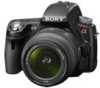 Sony SLT-A33L New Review