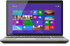 Get Toshiba P55t-A5202 reviews and ratings