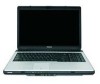 Toshiba L355-S7811 New Review