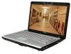Toshiba M205-S3217 New Review