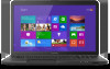 Toshiba Satellite C875D-S7120 New Review