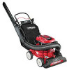 Get Troy-Bilt CSV 070 reviews and ratings