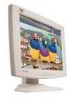 Get ViewSonic VE170 - 17inch LCD Monitor reviews and ratings