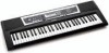 Yamaha YPT210 New Review