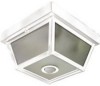 Get Zenith SL-4305-WH - Heath - Motion-Activated Five-Sided Porch Light reviews and ratings