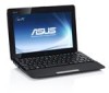 Get Asus Eee PC 1011PX reviews and ratings