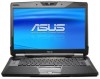 Asus VX5-A2B New Review