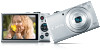Get Canon PowerShot A2600 Silver reviews and ratings