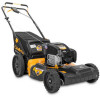 Reviews and ratings for Cub Cadet SC300B Lawn Mower