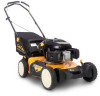 Reviews and ratings for Cub Cadet SCP100