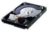 Get Dell C118D - 640 GB Hard Drive reviews and ratings