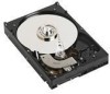 Get Dell 341-6681 - 250 GB Hard Drive reviews and ratings