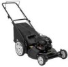 Reviews and ratings for Electrolux 2-N-1 - 961320043 21 in Push Mower