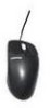 Get HP 170299-B22 - Compaq Carbon - Mouse reviews and ratings