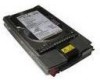Get HP 250023-B21 - Compaq 73 GB Hard Drive reviews and ratings