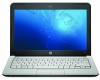 Get HP 311-1025NR - Mini - Netbook reviews and ratings