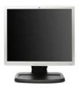 Get HP L1940 - 19inch LCD Monitor reviews and ratings