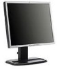 Get HP L1955 - 19inch LCD Monitor reviews and ratings