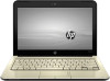 Get HP Pavilion dm1 reviews and ratings