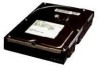 Get IBM 09J1035 - Ultrastar 4.3 GB Hard Drive reviews and ratings