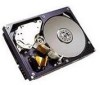 Get IBM DDYS-T09170 - Ultrastar 9.1 GB Hard Drive reviews and ratings