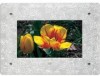 Get Kodak 1750298 - Digital Photoframe Decorative Frame reviews and ratings