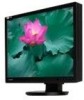 Get Lacie 130798 - 720 - 20inch LCD Monitor reviews and ratings