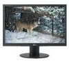 Get LG L226WTX-BF - LG - 22inch LCD Monitor reviews and ratings
