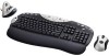 Get Logitech 967300-0403 - Cordless MX Duo reviews and ratings