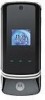 Reviews and ratings for Motorola KRZR K1 - Cell Phone - GSM