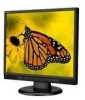 Get NEC ASLCD73VXM-BK - AccuSync - 17inch LCD Monitor reviews and ratings