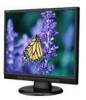 Get NEC ASLCD93VXM-BK - AccuSync - 19inch LCD Monitor reviews and ratings