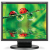 Reviews and ratings for NEC LCD175M-BK